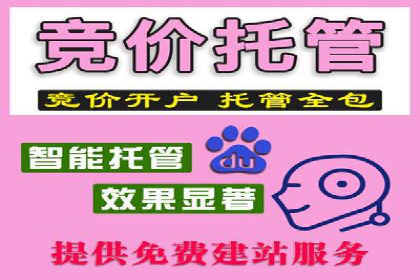 汽车行业SEM服务营销策略及效果展示